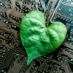 The Future of Green Innovation