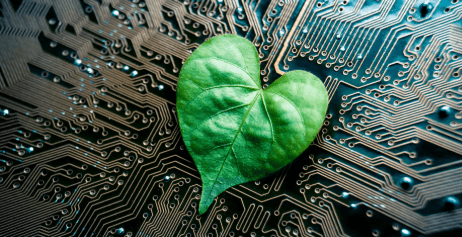 The Future of Green Innovation